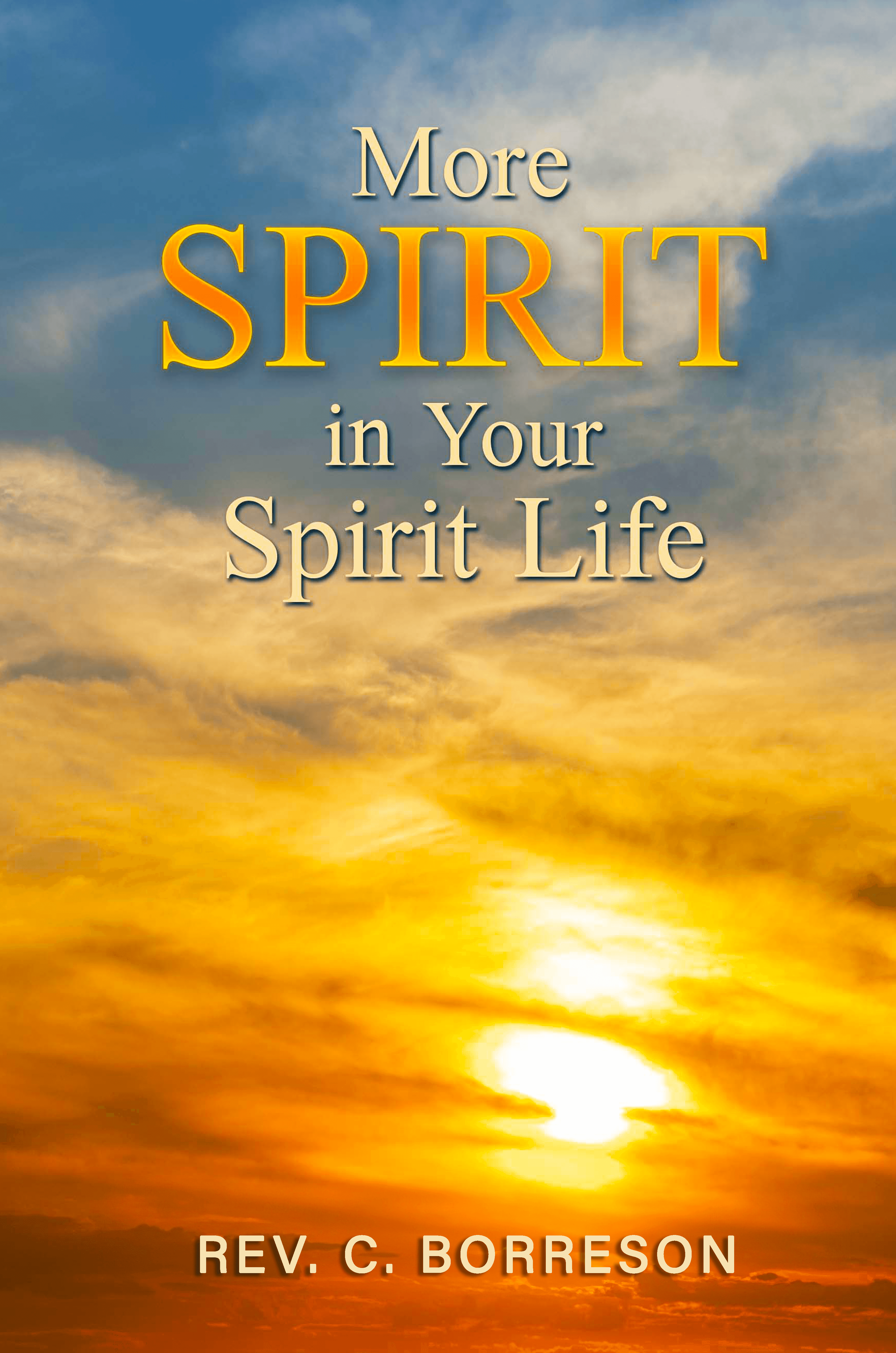 More Spirit in Your Spirit Life by Colleen Borreson